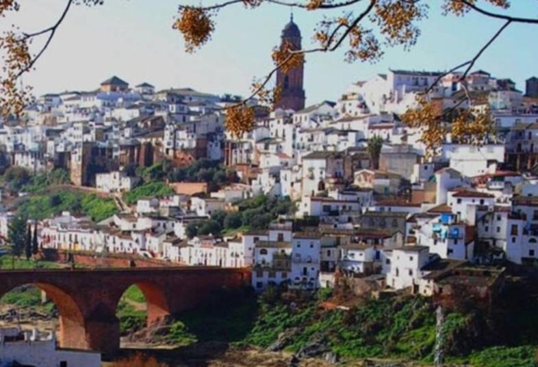 Apartamento La Plazuela, Casa Andaluza Con Patio. Montoro Exterior foto