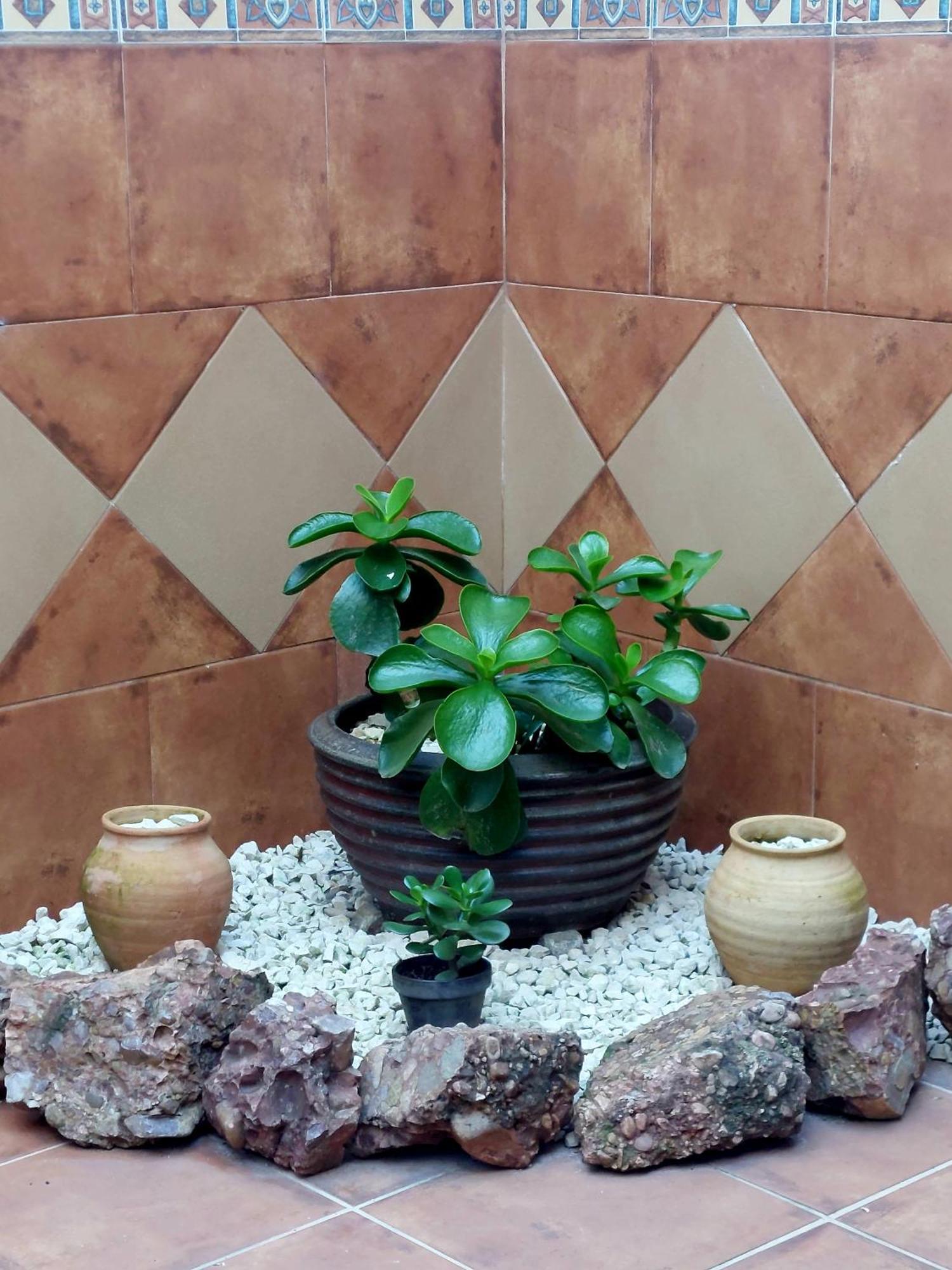 Apartamento La Plazuela, Casa Andaluza Con Patio. Montoro Exterior foto